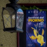 01_PIORNO_EN_FLOR